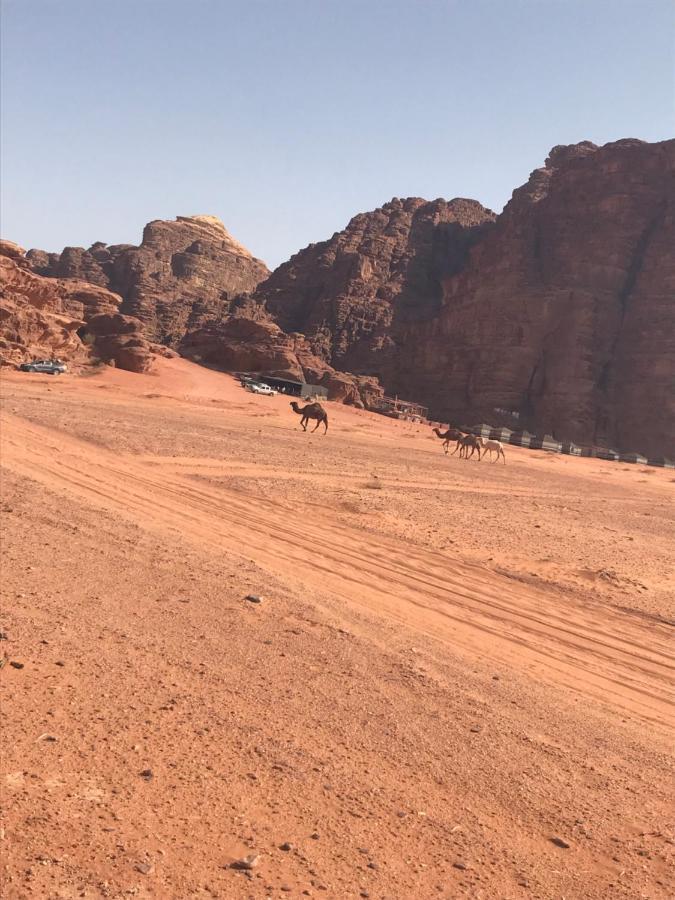 Bedouin House Camp Hotel Wadi Rum Exterior photo